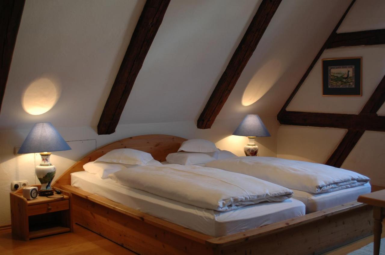 Hotel Schwarzer Adler Эрланген Экстерьер фото